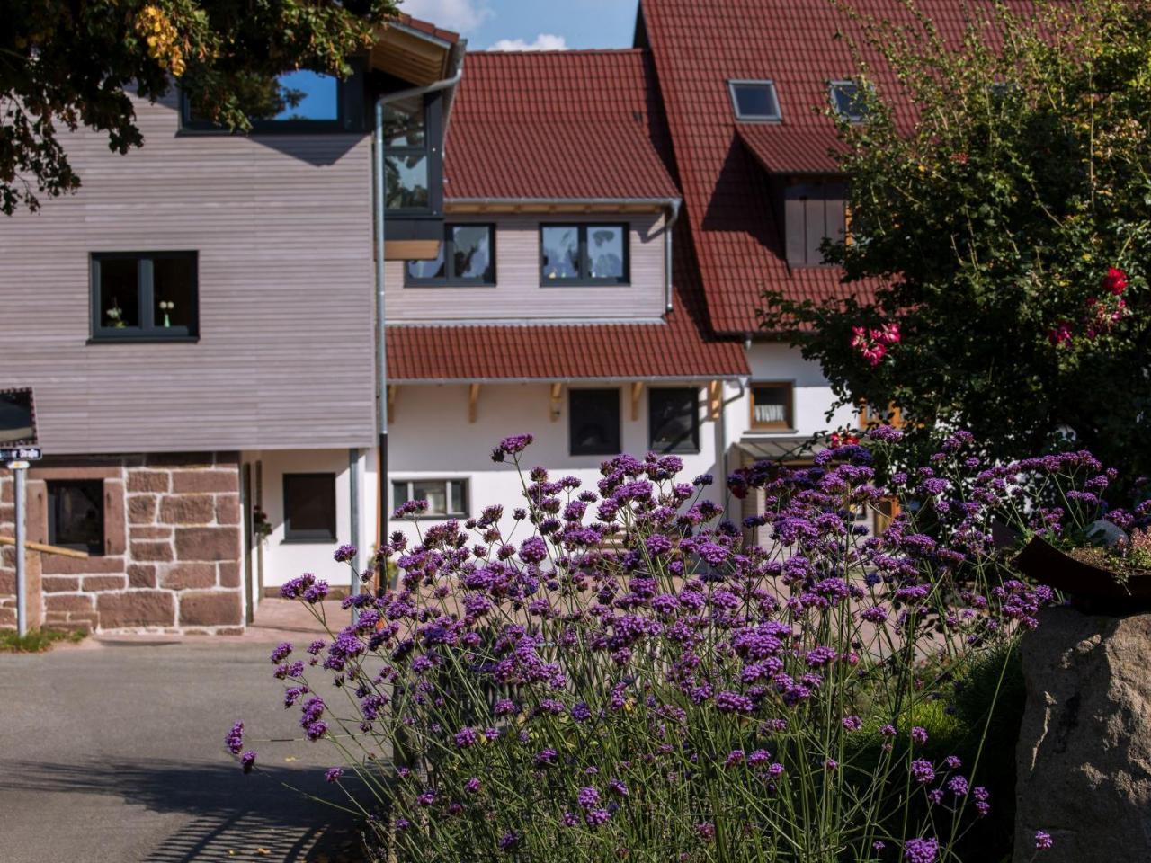 Saunaloft Schwarzwald أيشهالدين المظهر الخارجي الصورة