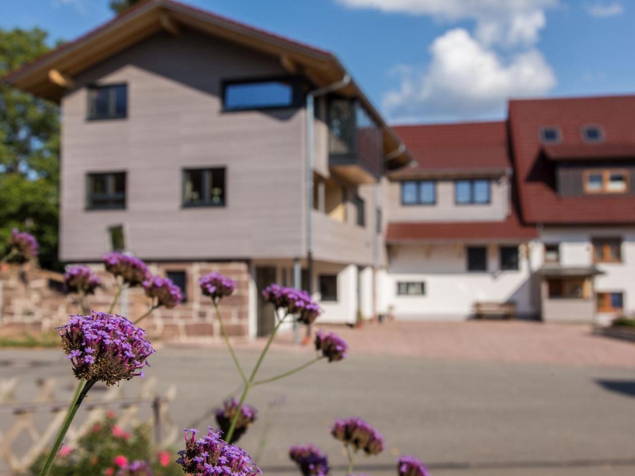 Saunaloft Schwarzwald أيشهالدين المظهر الخارجي الصورة