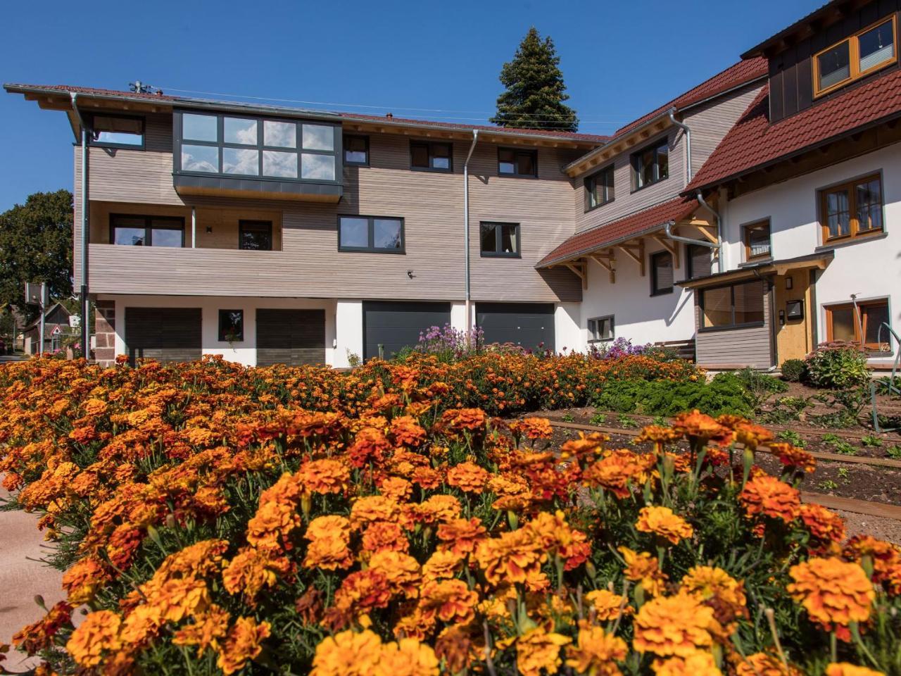 Saunaloft Schwarzwald أيشهالدين المظهر الخارجي الصورة